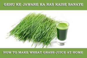 Gehu ke Jaware ka Ras, Wheatgrass Juice in Hindi