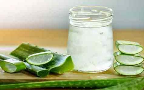 एलोवेरा जूस पीने के फायदे और नुकसान, Aloe vera juice benefits in hindi