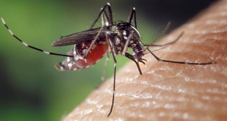 Chikungunya ke dard ka ilaj