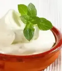 yogurt in hindi