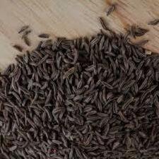 black cumins seeds in hindi