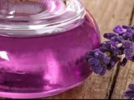 Lavender Oil in Hindi