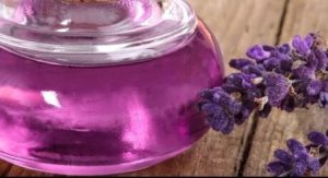 Lavender Oil in Hindi